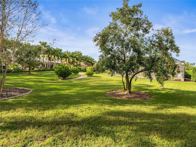 view of community featuring a yard