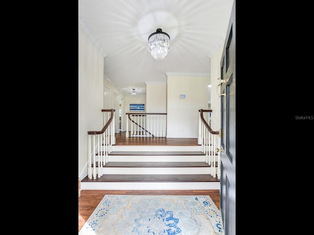 stairs featuring ornamental molding, wood-type flooring, and a chandelier