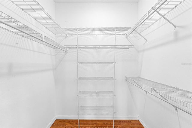 walk in closet featuring hardwood / wood-style flooring