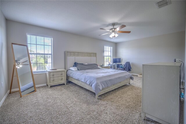 20028 Satin Leaf Ave, Tampa, FL 33647 - photo 18