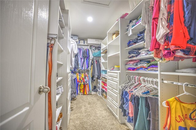 walk in closet featuring carpet flooring