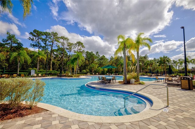 20028 Satin Leaf Ave, Tampa, FL 33647 - photo 58