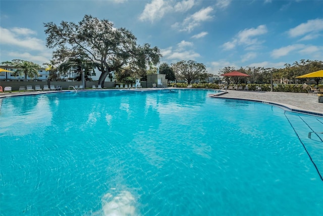 view of pool with a patio