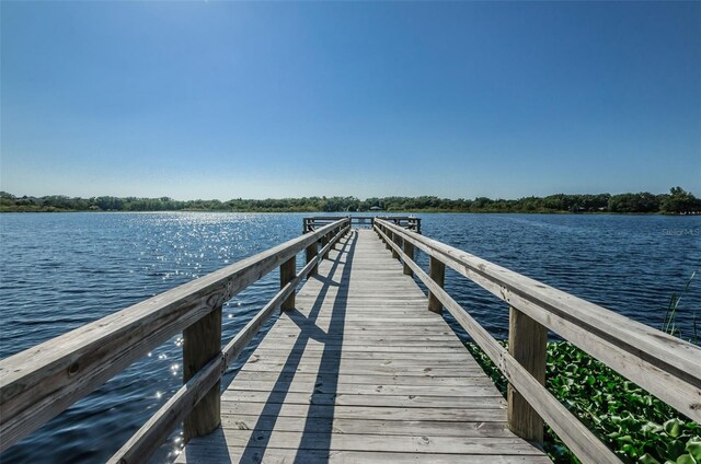 dock area with a water view