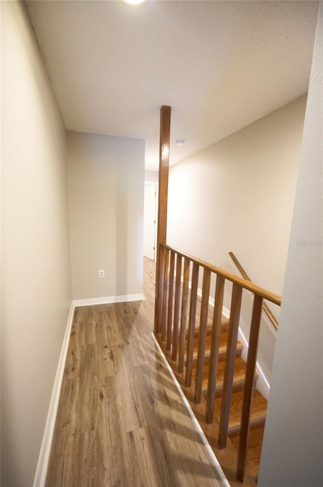 hall with hardwood / wood-style floors