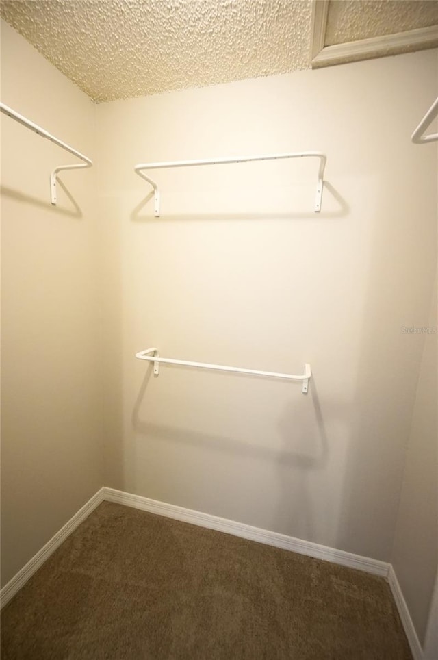 walk in closet featuring carpet