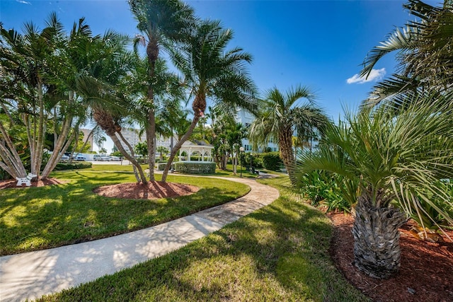 view of property's community with a yard