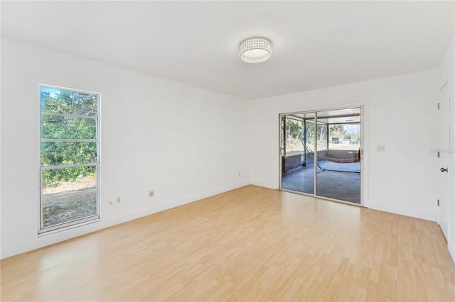 empty room with light hardwood / wood-style floors