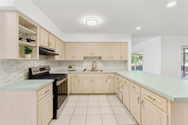 kitchen featuring kitchen peninsula, a healthy amount of sunlight, stainless steel range with electric cooktop, and sink