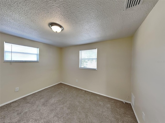 empty room featuring carpet, a wealth of natural light, and a textured ceiling