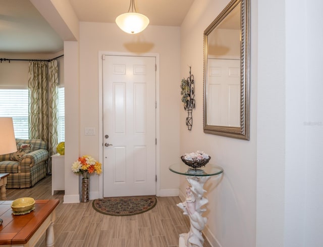 entrance foyer with wood-type flooring