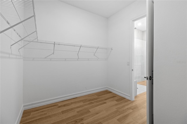 walk in closet featuring hardwood / wood-style floors