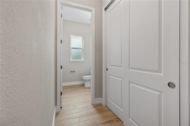 interior space featuring hardwood / wood-style flooring and toilet