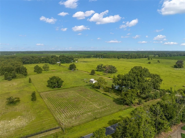 19433 N County Road 349, Obrien, FL 32071 - photo 1