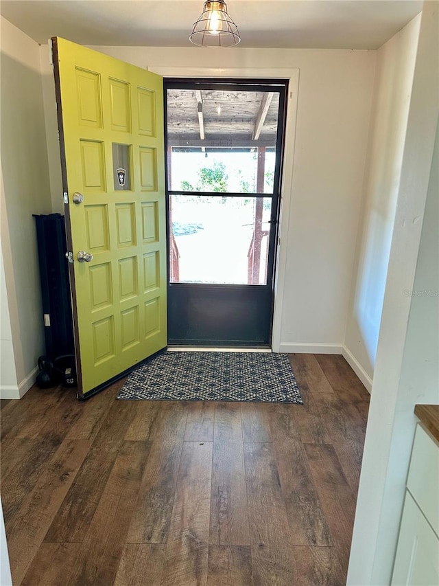 entryway with dark hardwood / wood-style floors