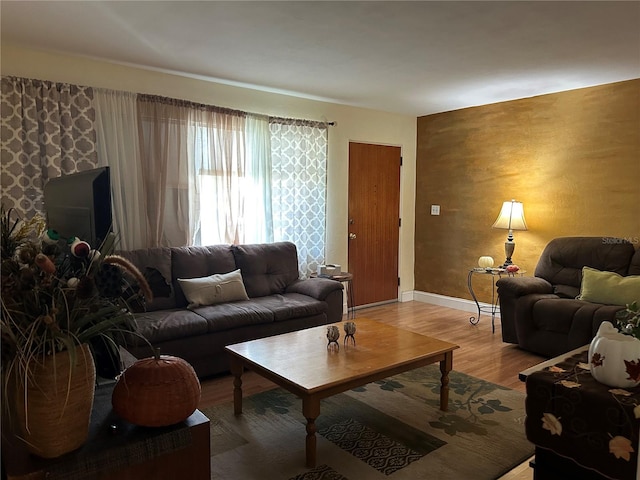 living room with hardwood / wood-style floors