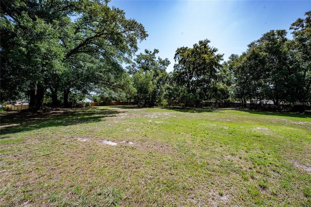 Ednitas Way, Orlando, FL 32818 - photo 5
