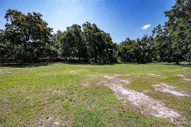 Ednitas Way, Orlando, FL 32818 - photo 6
