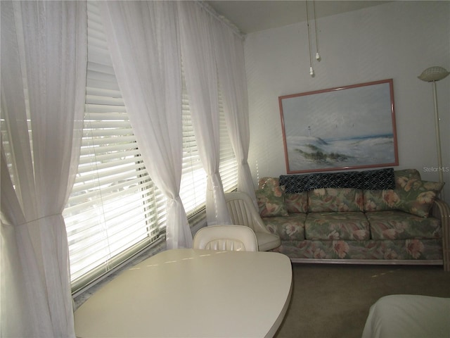 living room featuring dark carpet