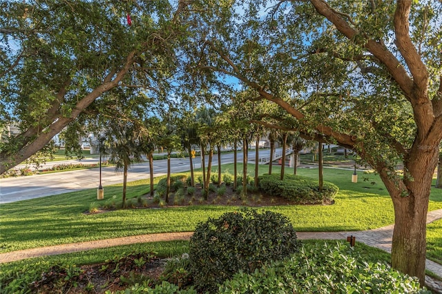 view of property's community featuring a yard