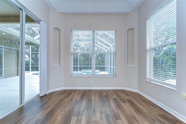 unfurnished room featuring a wealth of natural light and dark hardwood / wood-style flooring