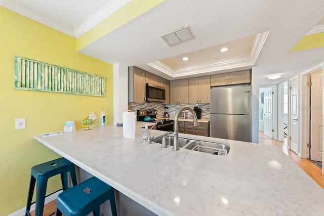 kitchen featuring ornamental molding, stainless steel appliances, a raised ceiling, light brown cabinets, and sink