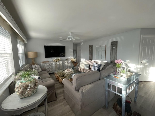 living room with hardwood / wood-style floors and ceiling fan