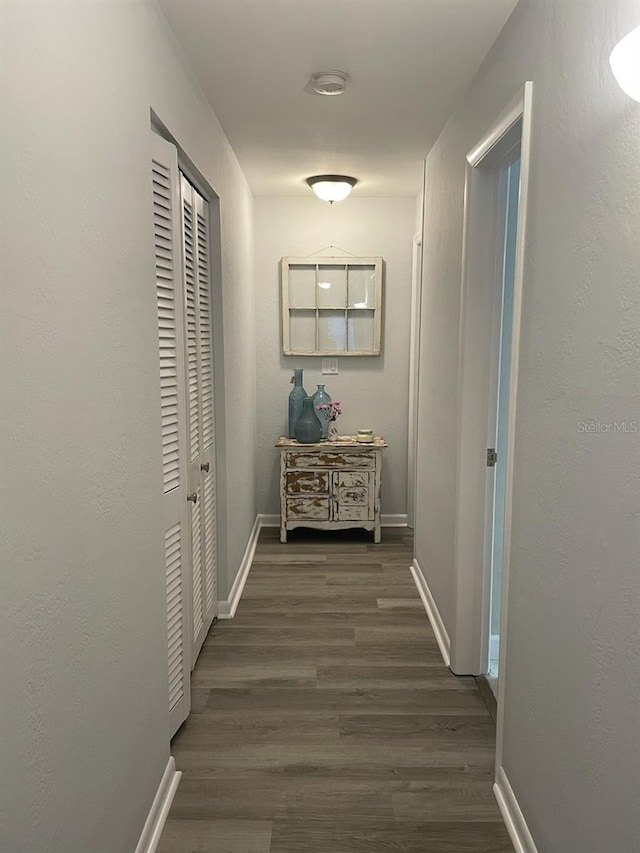 hallway featuring dark hardwood / wood-style flooring