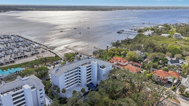 bird's eye view with a water view