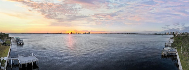 dock area with a water view