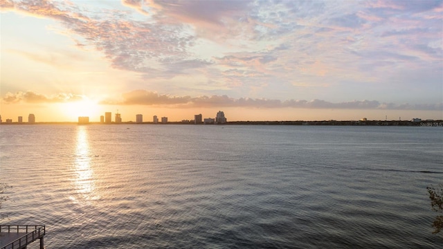 property view of water