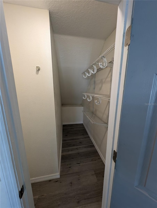 spacious closet with dark hardwood / wood-style flooring