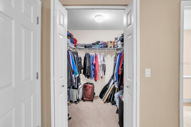 walk in closet featuring carpet floors