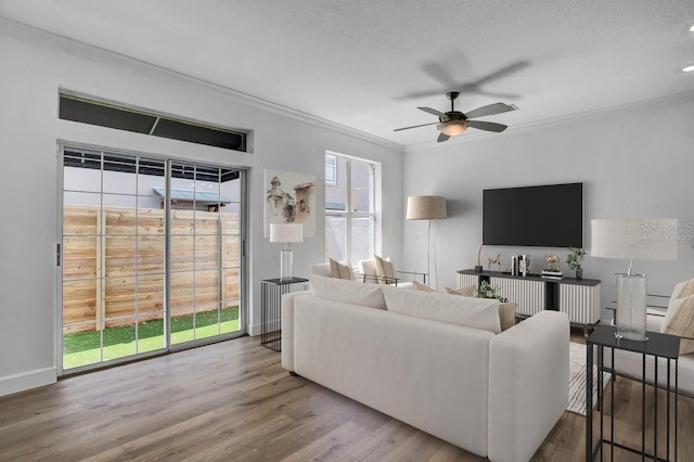 living area featuring a textured ceiling, wood finished floors, a ceiling fan, and ornamental molding