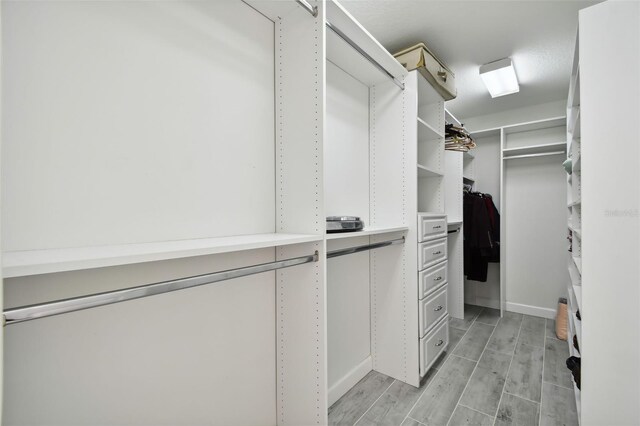 view of walk in closet