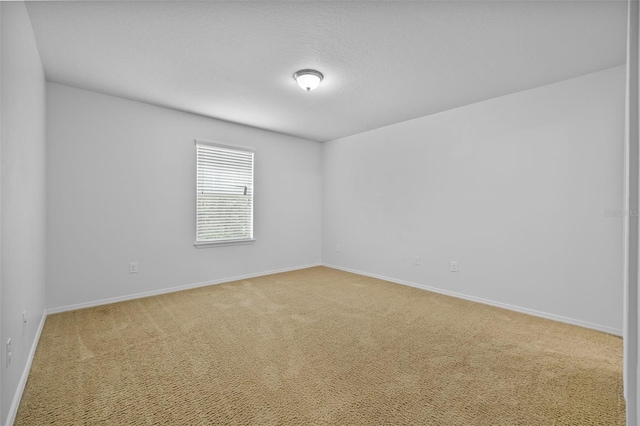 spare room featuring carpet floors