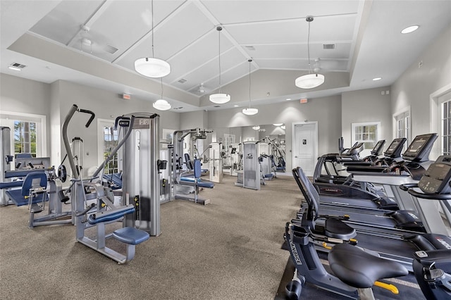 workout area featuring high vaulted ceiling and carpet floors