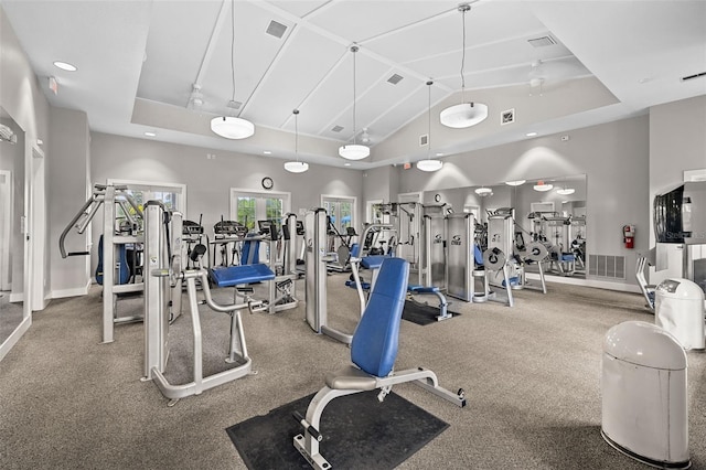 exercise room featuring a towering ceiling and a raised ceiling