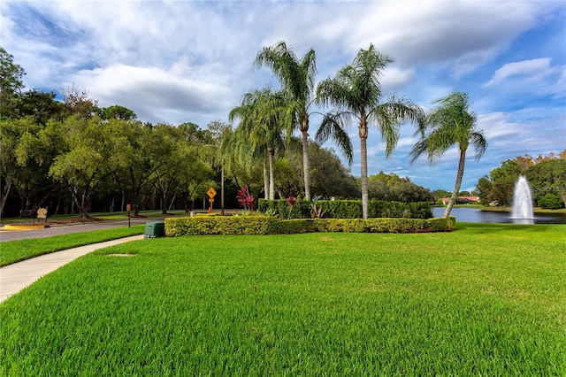 surrounding community with a water view and a lawn