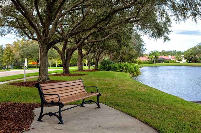 3454 Hillmoor Dr, Palm Harbor, FL 34685 - photo 42