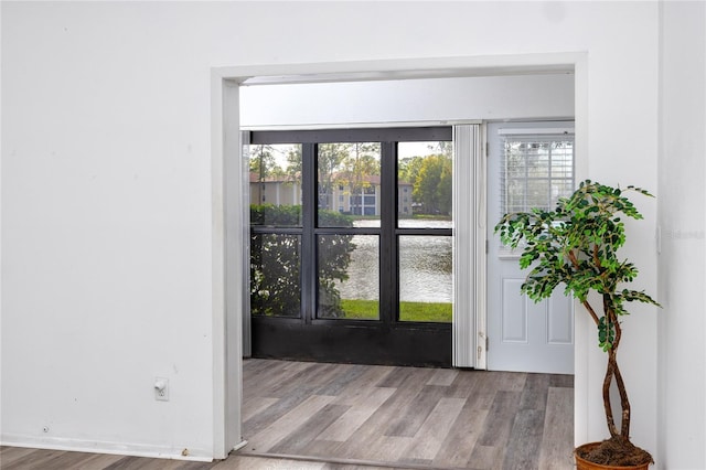 doorway with wood finished floors