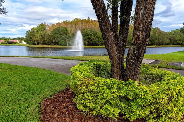 water view