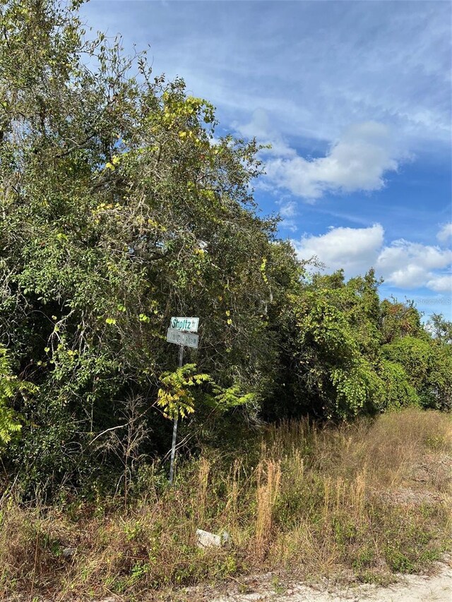 12151 Twin Lake Dr, New Port Richey, FL 34654 - photo 7