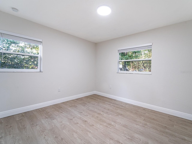 spare room with a wealth of natural light and light hardwood / wood-style floors