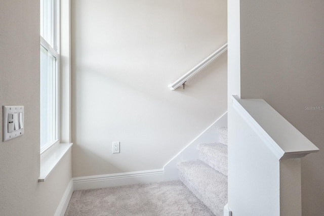 staircase with carpet floors