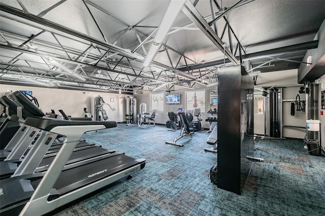 gym featuring carpet