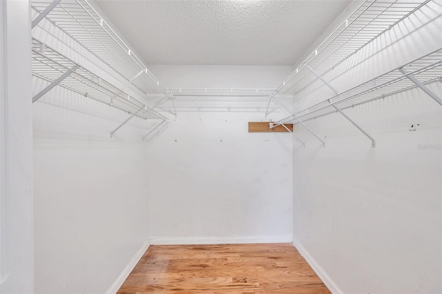 spacious closet with hardwood / wood-style floors