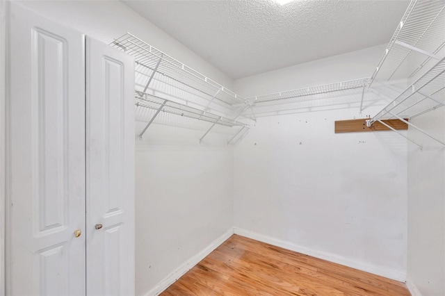 spacious closet with hardwood / wood-style floors