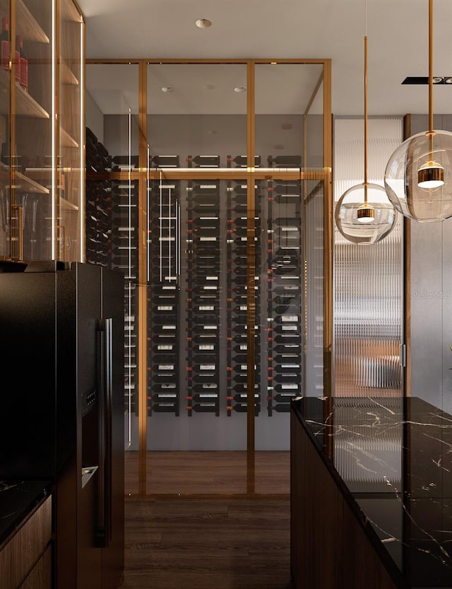 wine area with dark hardwood / wood-style floors