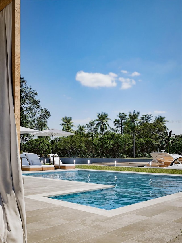 view of pool featuring a patio area